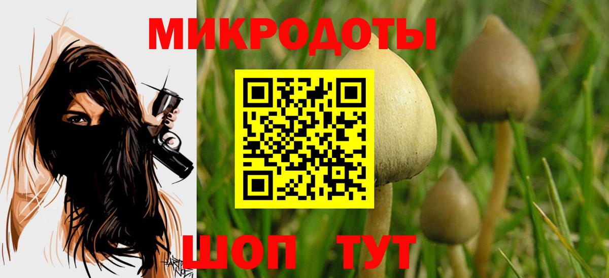 Псилоцибиновые грибы GOLDEN TEACHER Серпухов